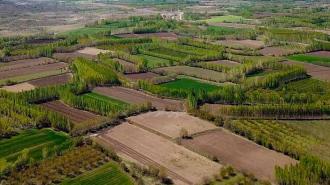 Milli Emlak sudan ucuza arsa satıyor. Koşan alacak peşin ödeyene indirim - Resim: 6